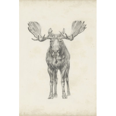 Moose Study 1 Piece Wrapped Canvas Wall Art