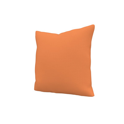 Sunbrella® Throw Pillow
