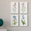 Delicate Pink I - ensemble de 4 peintures sur toile tendue-659347964