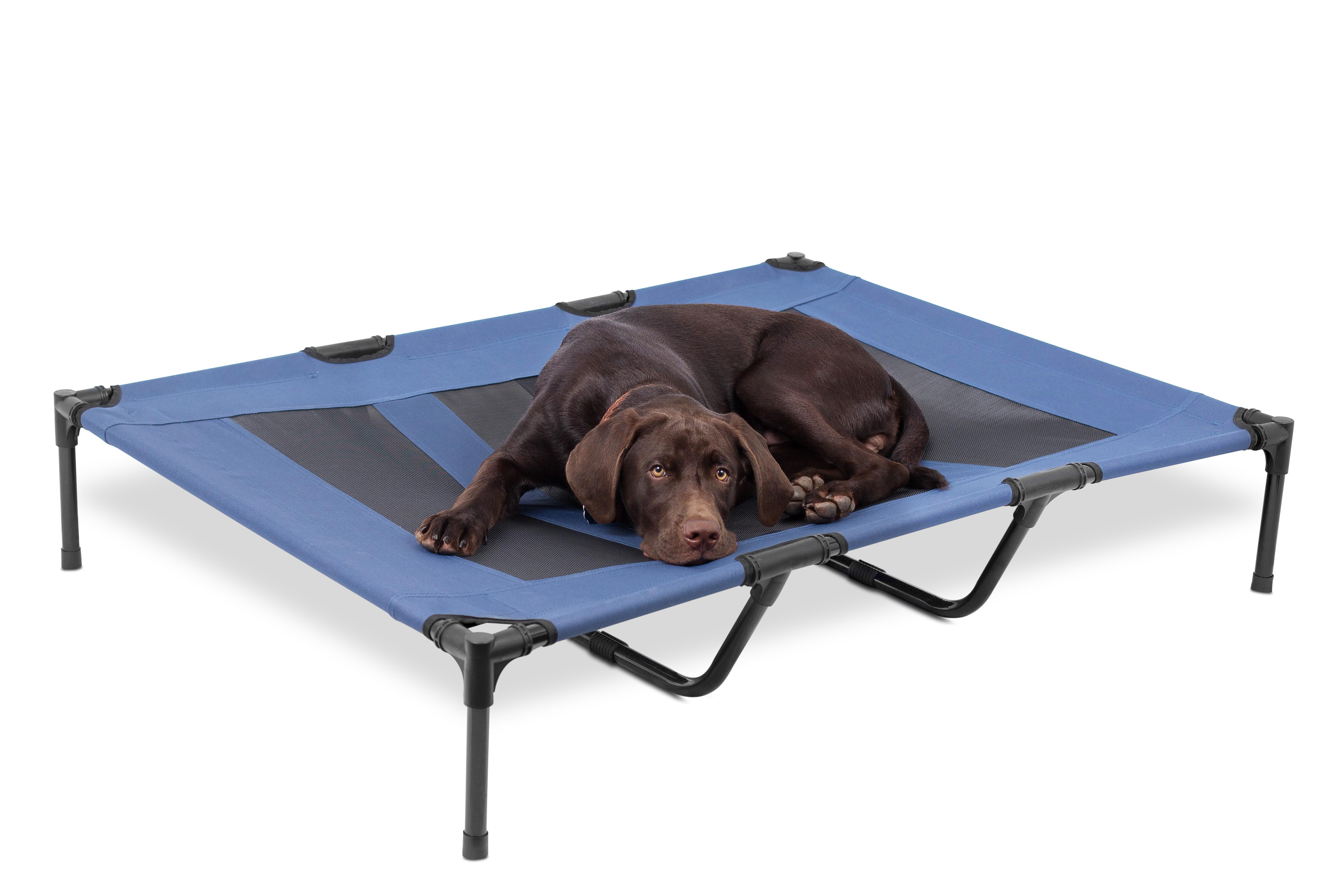 Elevated pet cheap bed large