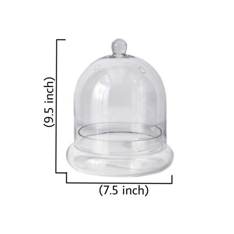 Hantsport Glass Terrarium, 9.5" H x 7.5" W x 7.5" D, 1