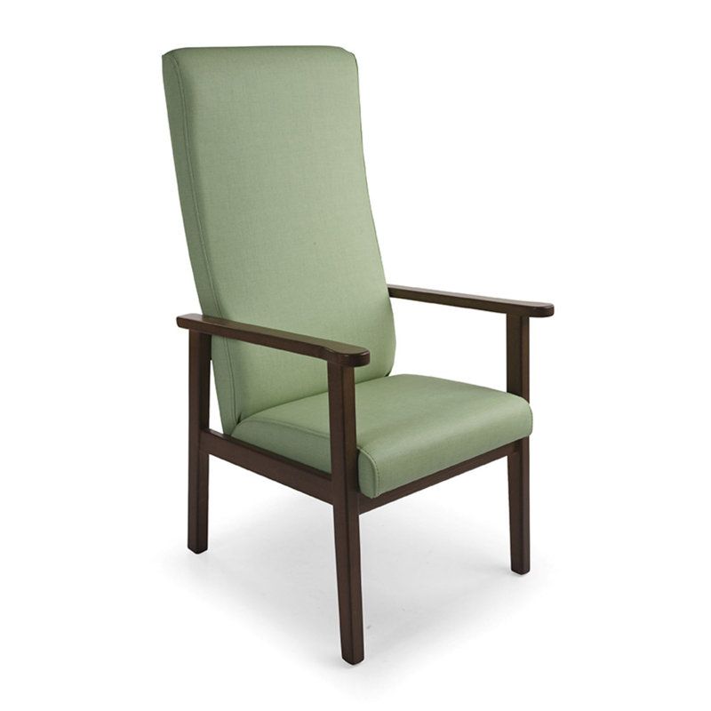 Allenhurst Upholstered Armchair, Green, Brown