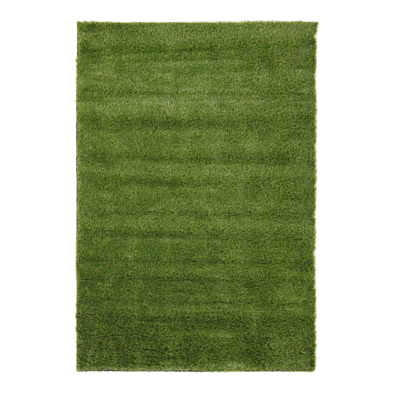 Tapis intérieur / extérieur Cathlyn, Rectangle 4 pi 1 po x 6 pi 1 po