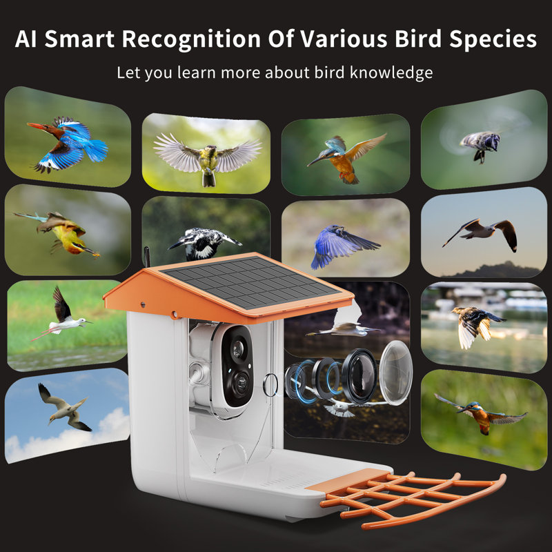 Mangeoire d'oiseaux intelligente avec caméra, caméra mangeoire d'oiseaux HD 2K, capture automatique et détection de mouvement, vue à 173 °, identifiant de 11 000 oiseaux et plus, cadeau idéal pour les amoureux des oiseaux