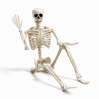 Halloween Skeleton Decor