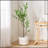 150CM ARTIFICIAL DISC LEAF TREE-363329149