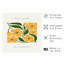Impression florale florale jaune moderne sans cadre-929142741