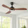 42" 3 - Blade Small Room Ceiling Fan with LED Light and Remote