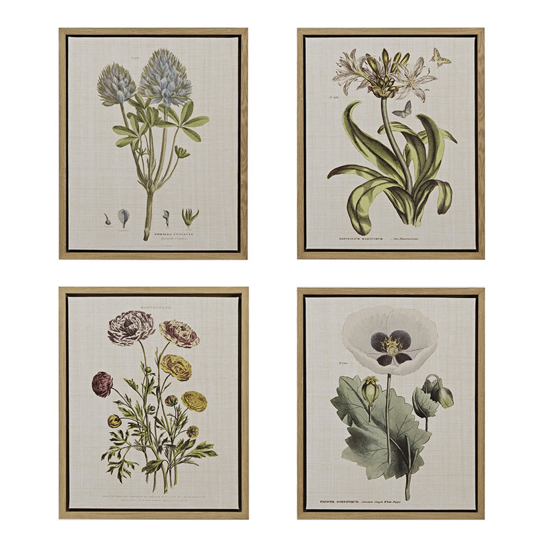 Botanical Illustration Canvas 4 - Décoration murale en lin pour 4 maisons d'art