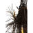 Krall 15 - Light Wood Dimmable Empire Chandelier
