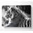 Tiger Resting - Wrapped Canvas Print-1155120918