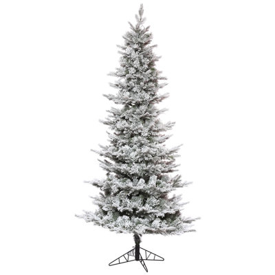 Winfield Christmas Tree