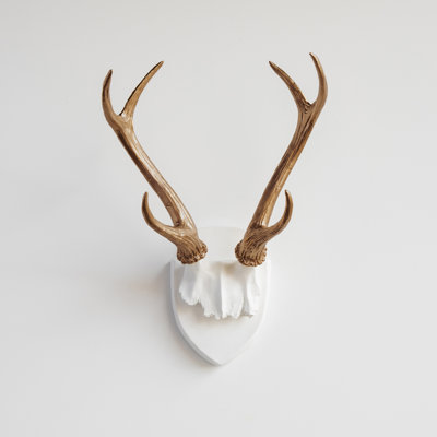Handmade Coastal Animals Wall Decor on Resin