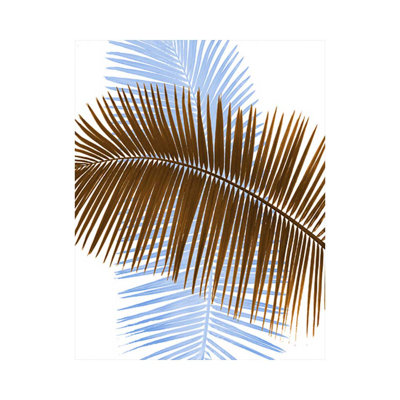 'Palm Frond' by Scott J. Menaul Graphic Art on Wrapped Canvas