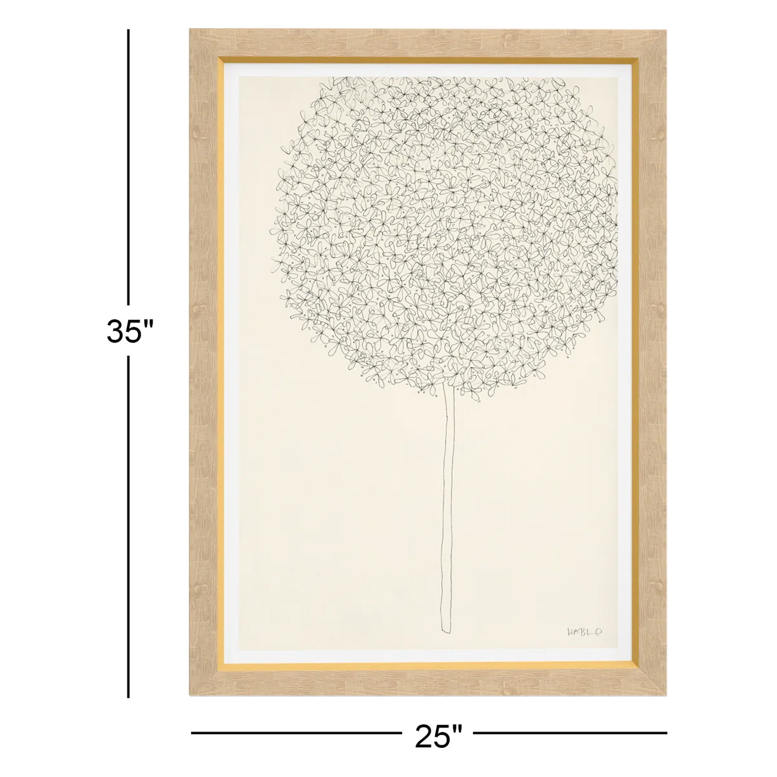 Allium I Print by Susan Hable, 35" H x 25" W