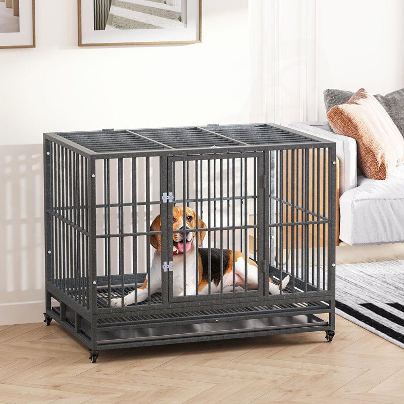 Cage pour chien polyvalente en métal avec sécurité avancée et caractéristiques pratiques