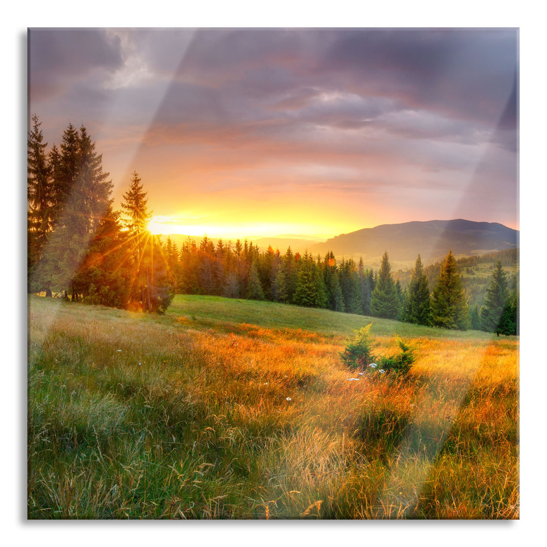 Glasbild Wiesenlandschaft bei Sonnenuntergang