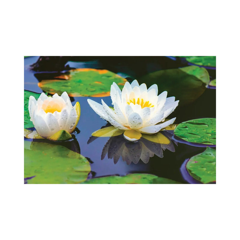 Lovely Lilly by David Gardiner - Gallery-Wrapped Canvas Giclée on Canvas, Wrapped Canvas