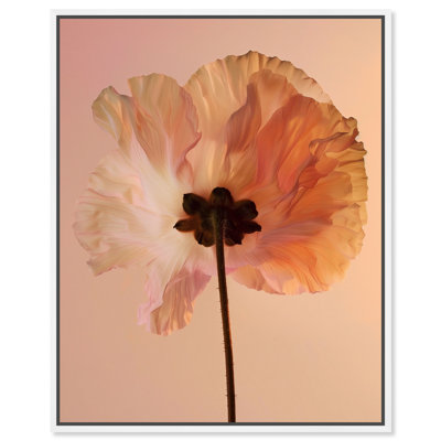 Amber Radiance II Graphic Art Canvas