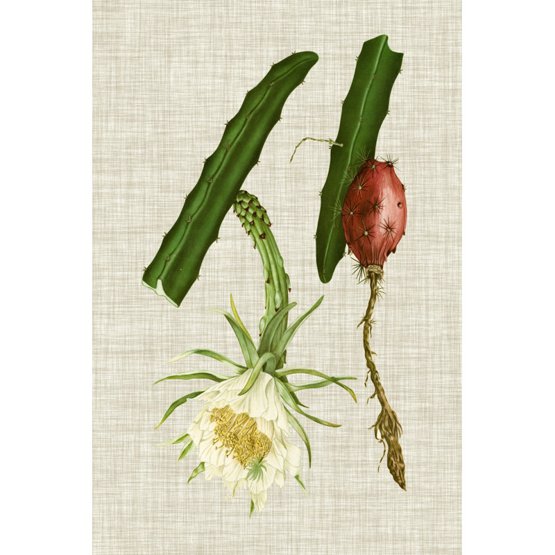 Elegant Tropicals II by Vision Studio - Wrapped Canvas Painting, 76cm H x 51cm W x 3.8cm D
