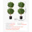 91.4cm Faux Bonsai Topiary in Pot