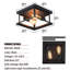 Jessie 2-Light 28cm Flush Mount