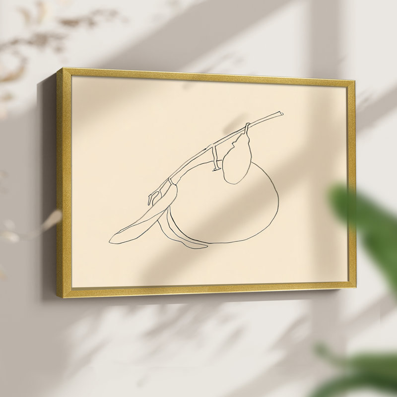 Citrus Contour II -Framed Print - Restickable, 22" H x 28" W