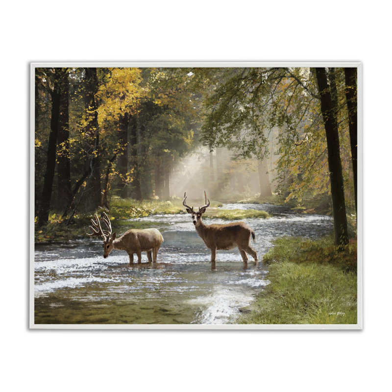Cerf qui broute dans le ruisseau, estampe numérique par Amber Sterling, Estampe numérique encadrée blanc bord de mer