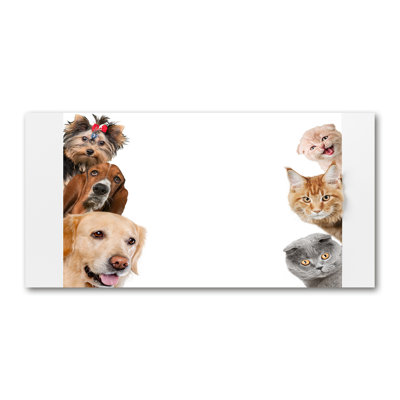 Dogs And Cats - Wrapped Canvas Print