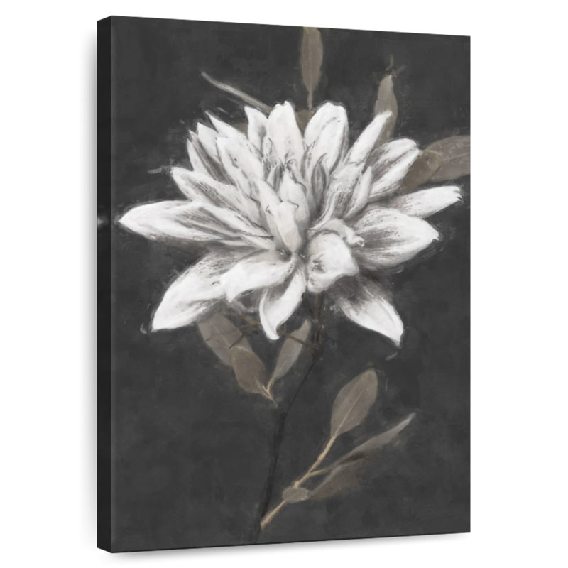 Fable Harnek Lotus III, H 24 po x l 16 po
