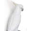 The Parrot Party Porcelain Wall Hook in White/Blue