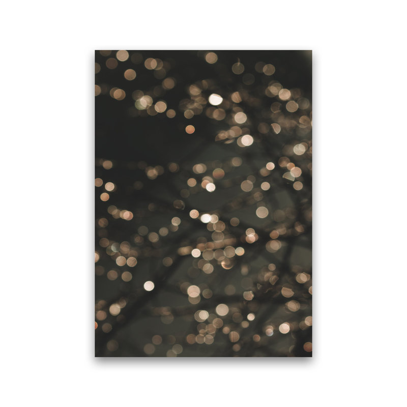 Midnight Glow by Victoria Frost - Print, 42cm H x 30cm W x 1cm D, Unframed