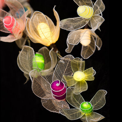 Yatra LED Natural Cocoon String Light
