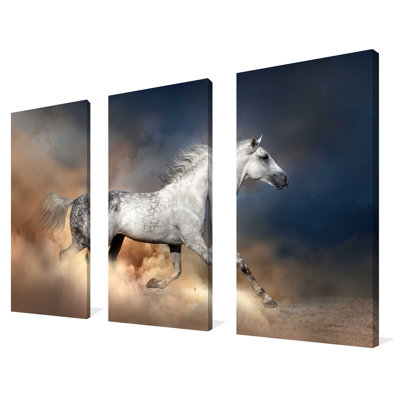 Cheval sauvage - ensemble de 3 reproductions de photos sur toiles tendues