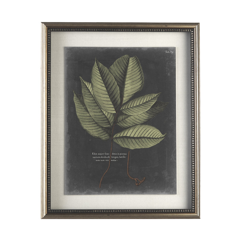 Foliage Dramatique III by Vision Studio Hand Embelished Textured Framed Art Print Matted under Glass