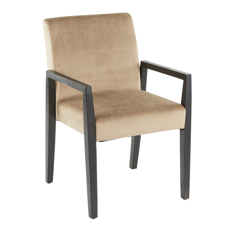 Chaise avec accoudoirs Egan, Noir, Velours brun clair