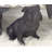 Mikkelson Polystone Sitting Bulldog Decorative Brown Sculpture-1817789897