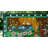 Plants & Flowers Window Panel