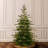 Pre-Lit Fir Christmas Tree-1740809304-1709394171