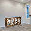 Bridport Media Console
