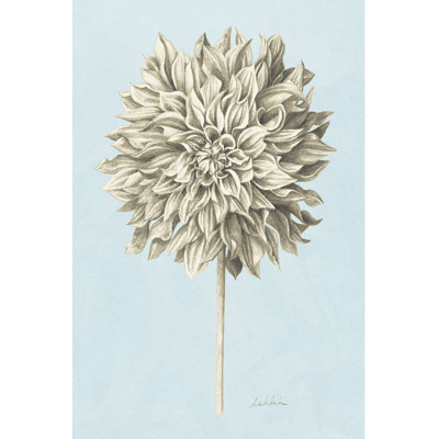 Graphite Botanical Study III