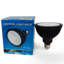 Ampoule DEL noire pour piscine
