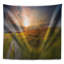 Paysage, coucher de soleil dans le champ de grain, tapisserie panoramique-28494547