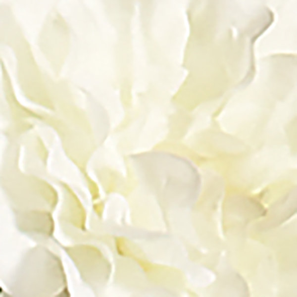 Pièce maîtresse de Zinnia artificielle en pot, Blanc