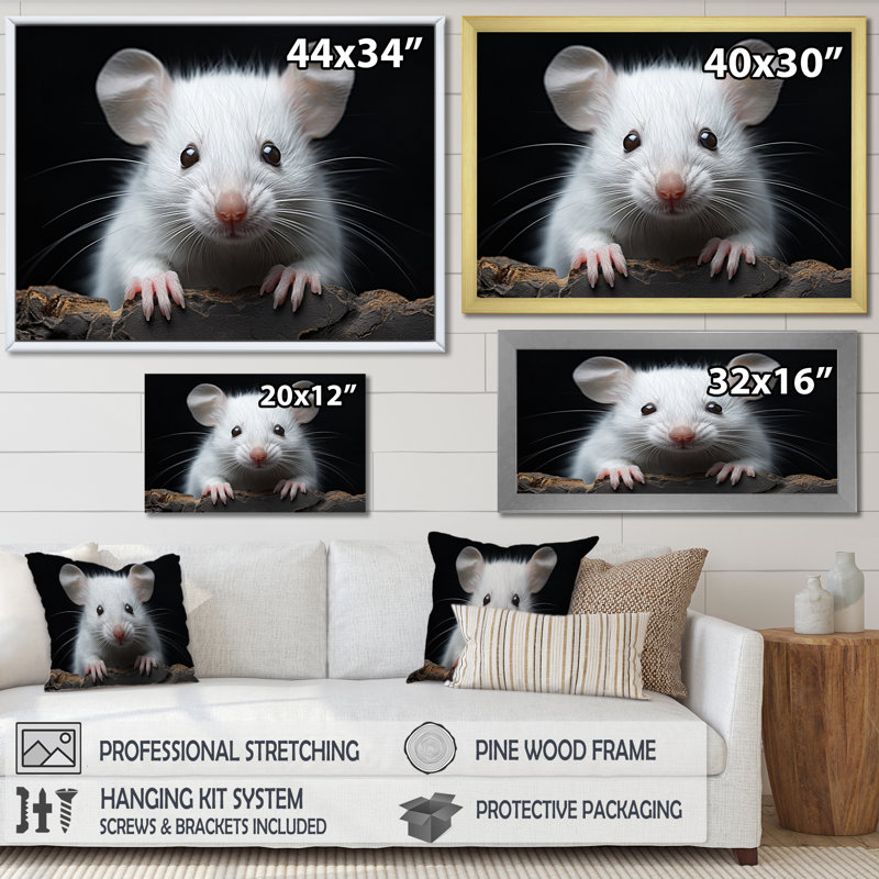 " White Small Rodent Wonders ", 34" H x 44" W x 1.5" D, Gold Floater Framed