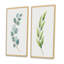 «Green Otanical Leaves and Flower V», ensemble de 2 impressions-1804194137-1804194134