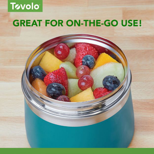 Tovolo Stainless Steel Insulated Food Traveler, , Marine Blue