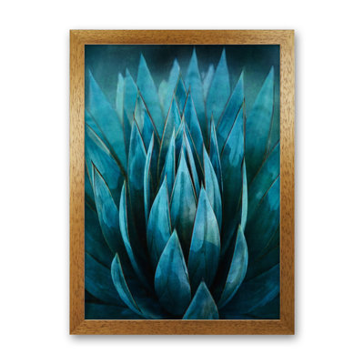 Blue Succulent - Print