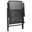 Allegan Patio Dining Armchair with Cushion