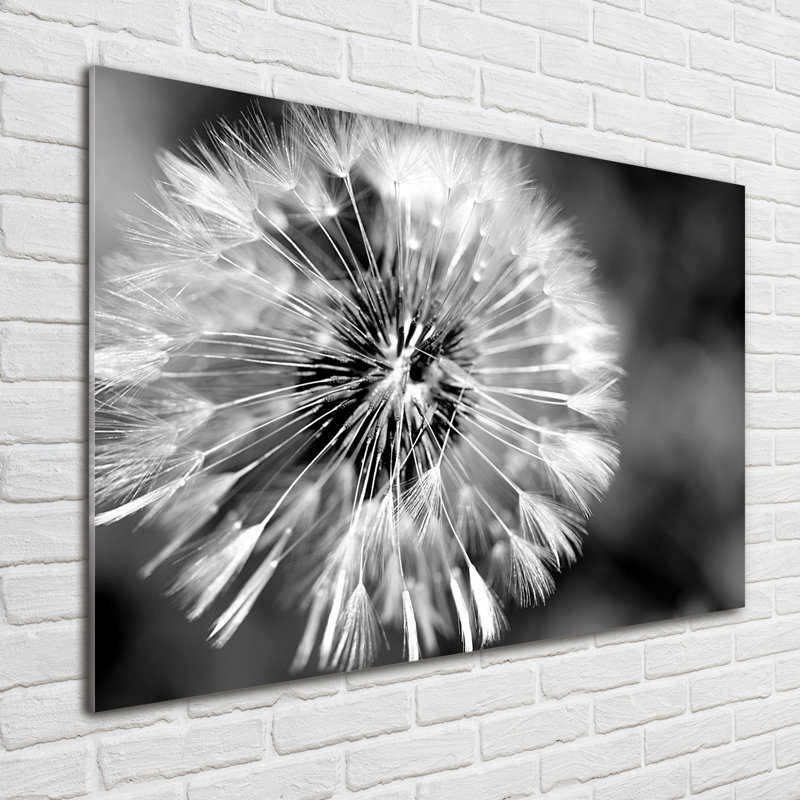 Dandelions - No Frame Print on Glass